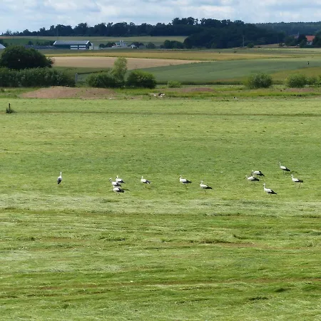 Komfort * Wolfhagen